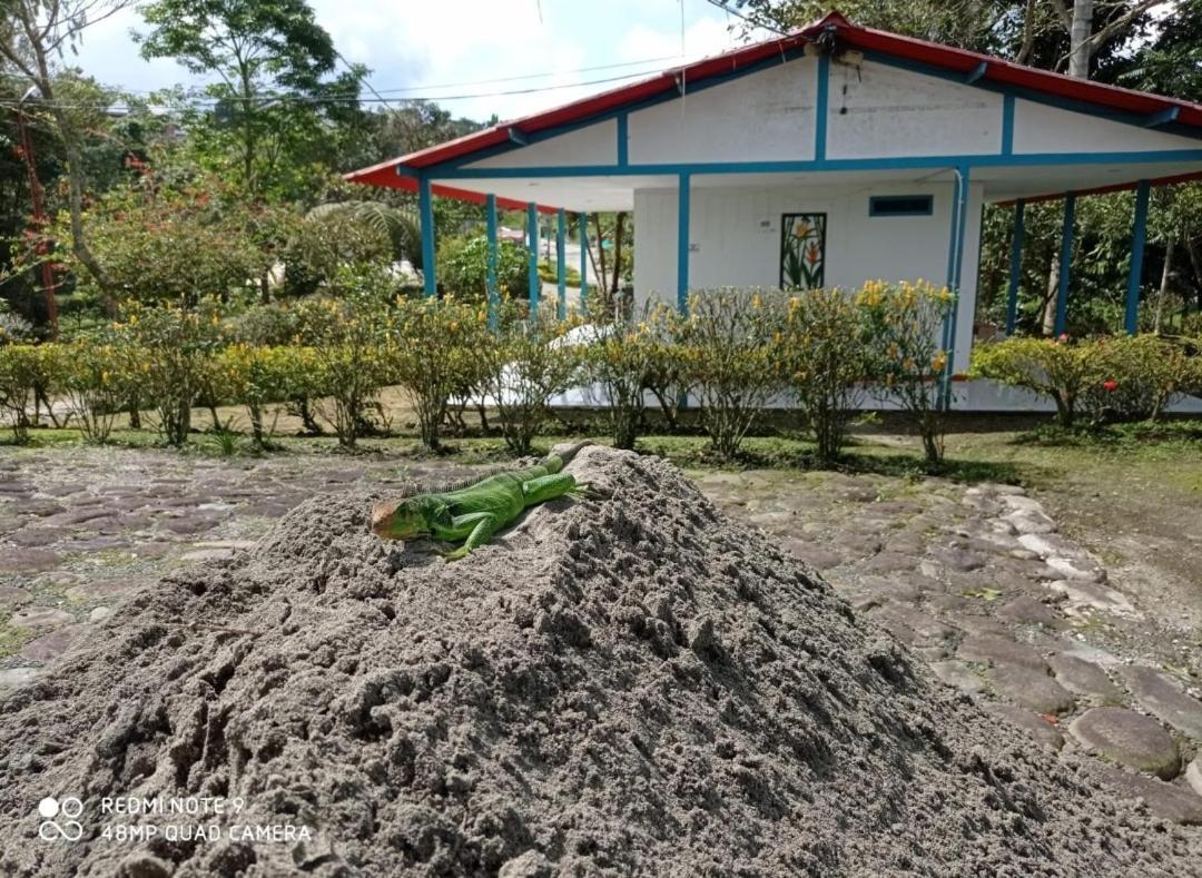Hostal Campestre El Santuario Filandia Ngoại thất bức ảnh