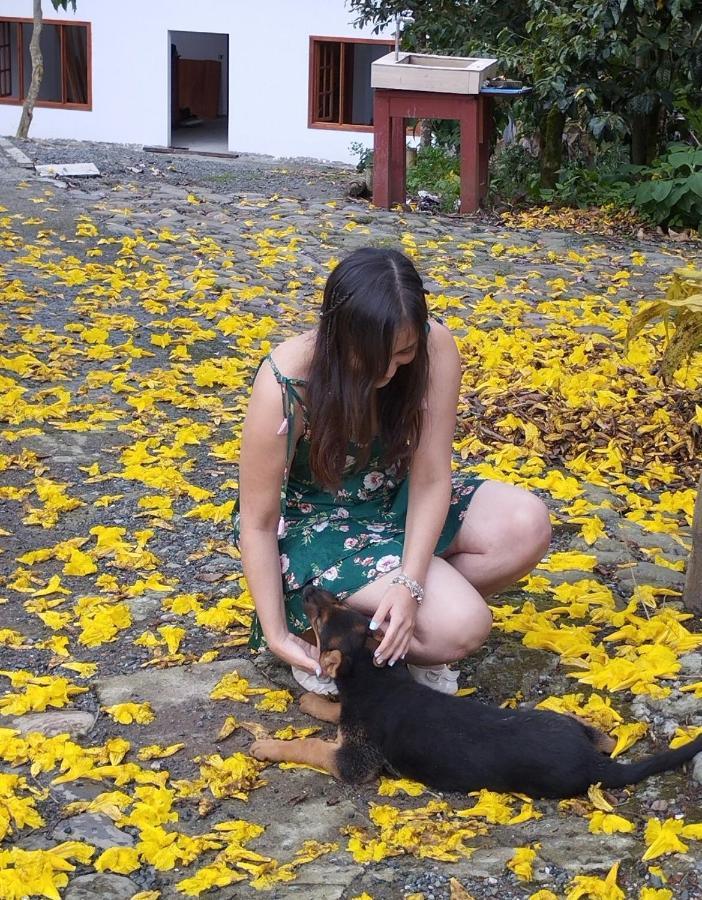 Hostal Campestre El Santuario Filandia Ngoại thất bức ảnh