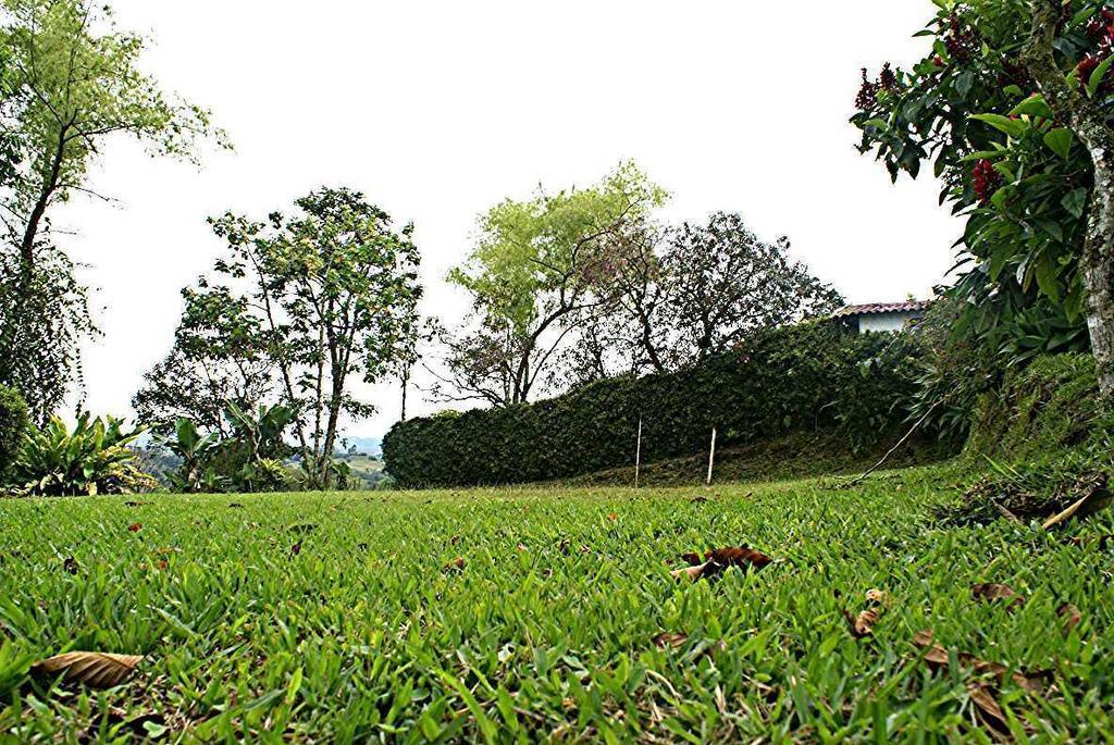 Hostal Campestre El Santuario Filandia Ngoại thất bức ảnh