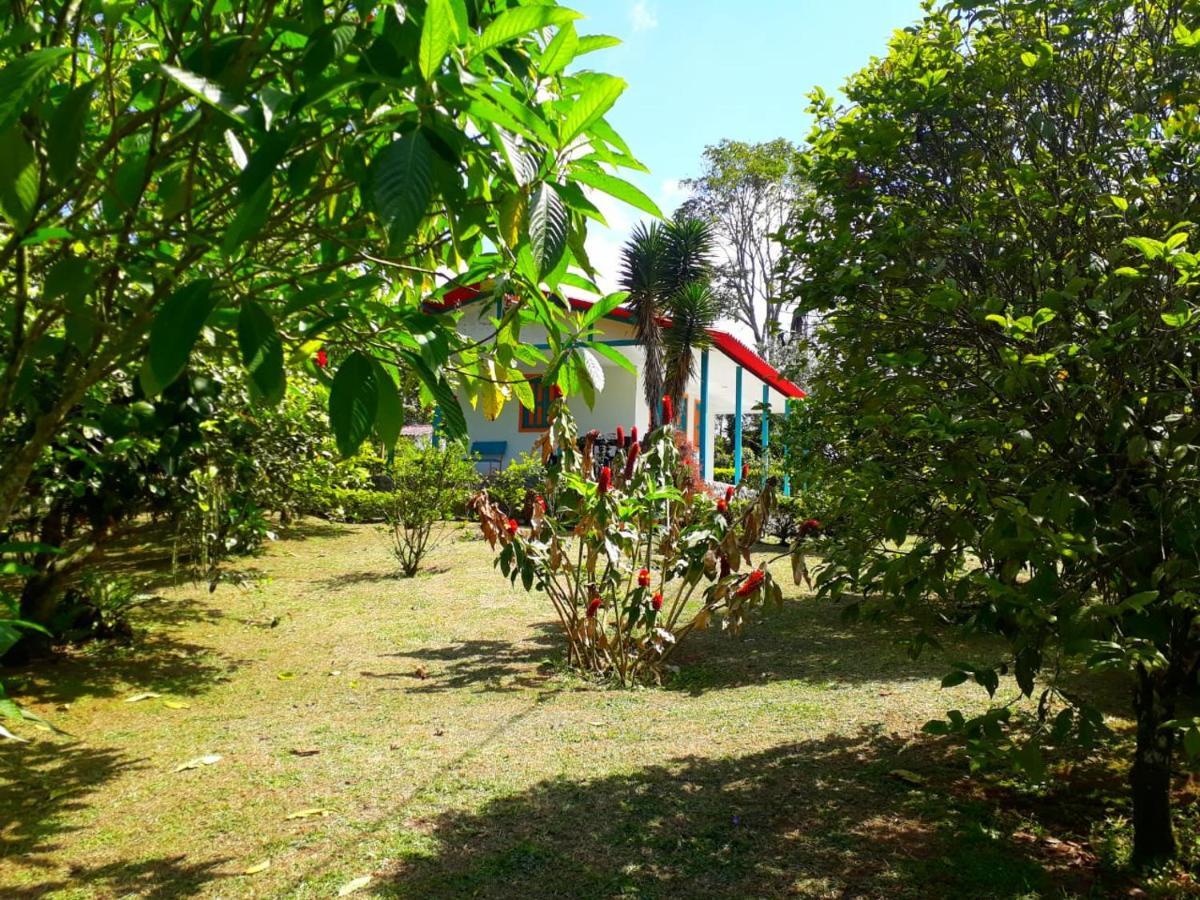 Hostal Campestre El Santuario Filandia Ngoại thất bức ảnh