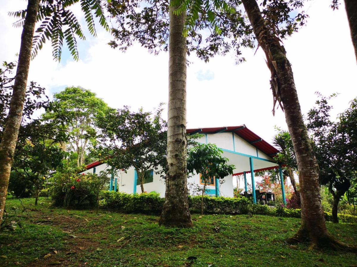 Hostal Campestre El Santuario Filandia Ngoại thất bức ảnh